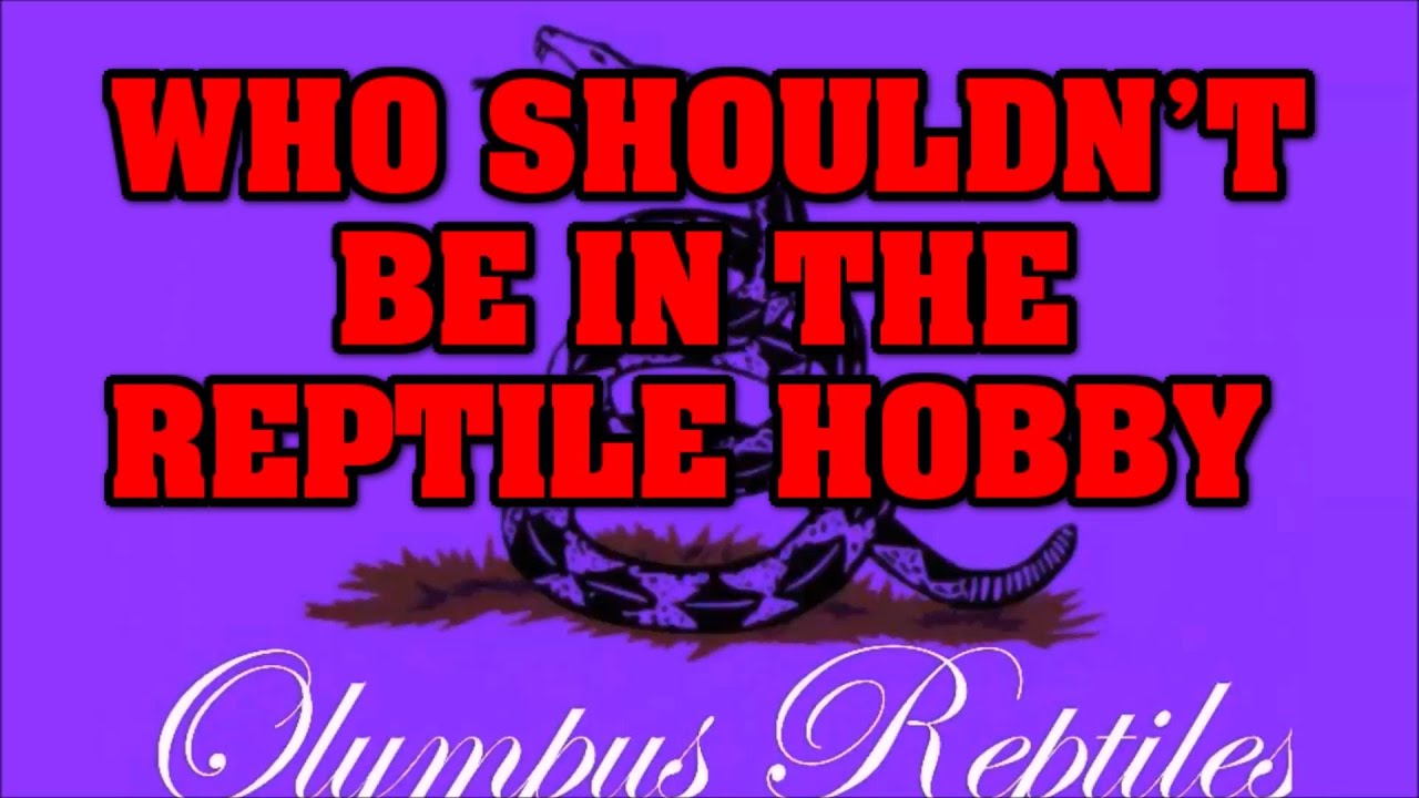 Some people just shouldn't be allowed in the reptile hobbby...