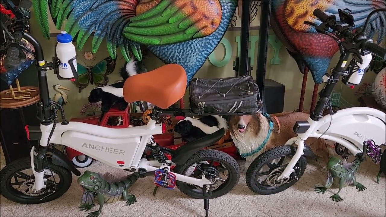 Teb tug bro. Lubsiabkaj cov lug   2/20/2026