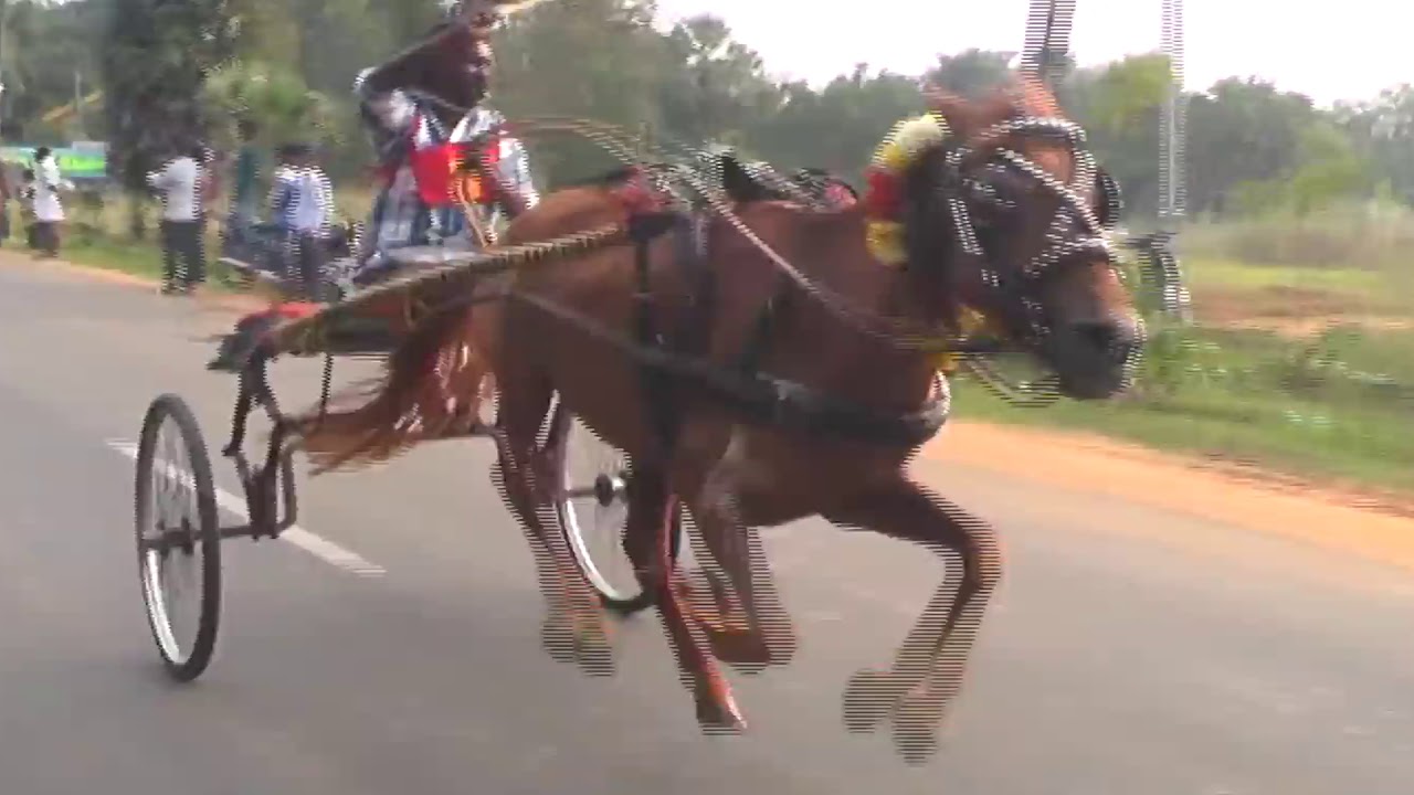 Horse cart race thirukadaiyur (2018-01-16) periya kuthirai part-2