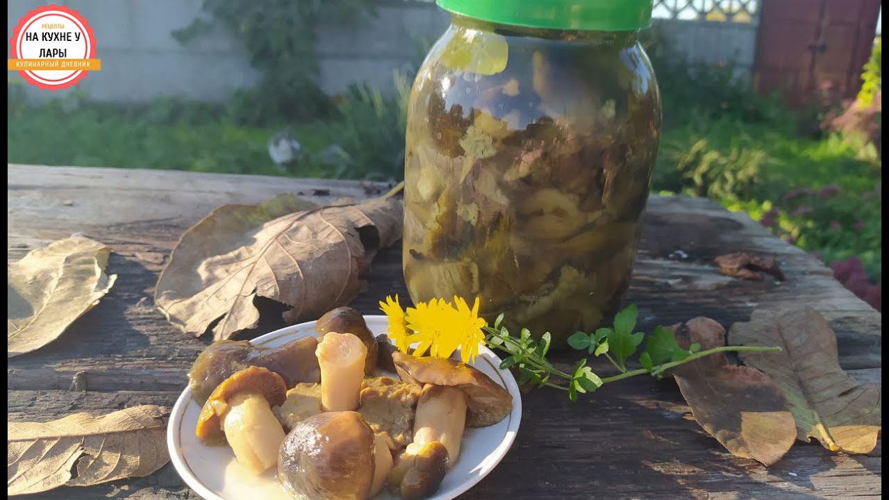 Солені гриби Зеленюшки! Соленые грибы Зеленушки!