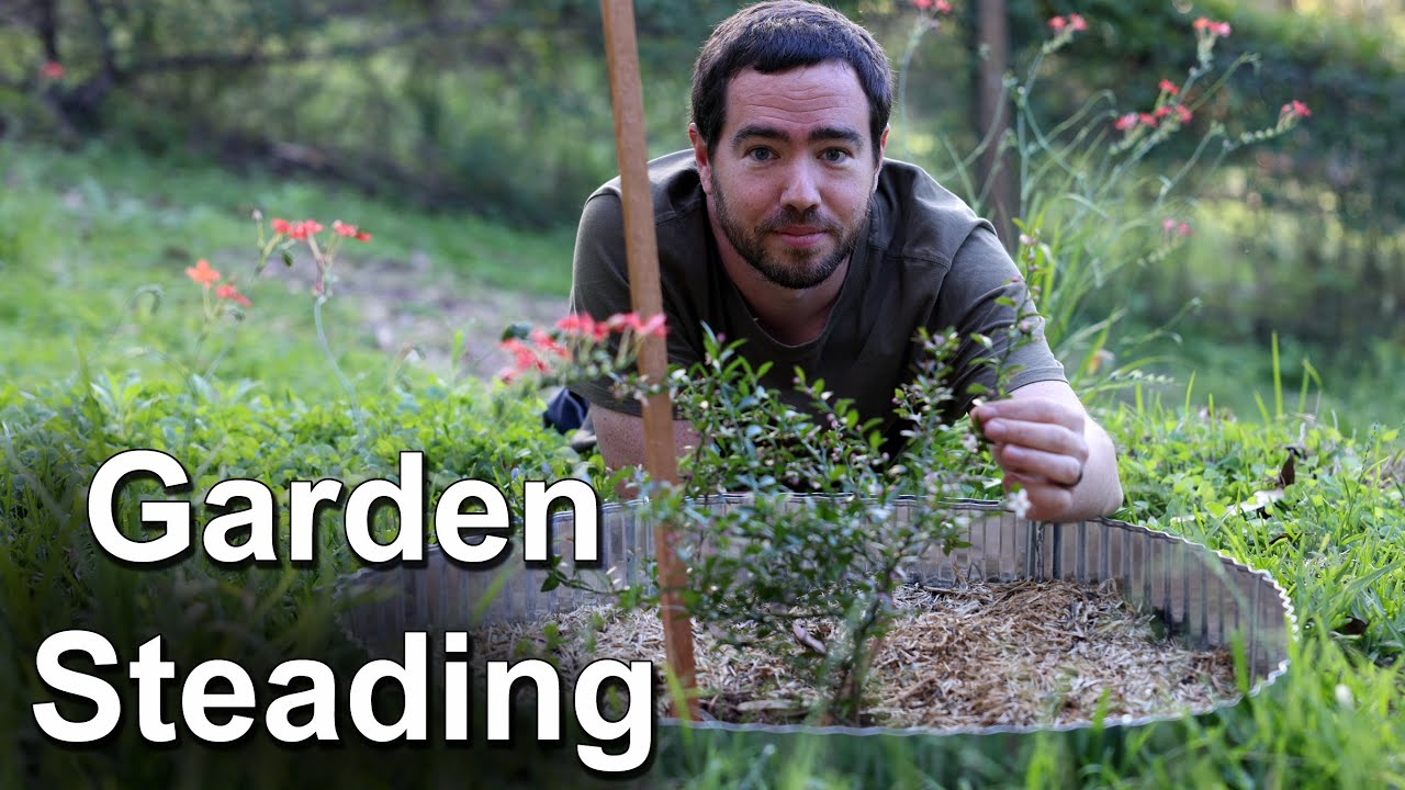 Welcome to Garden Steading!