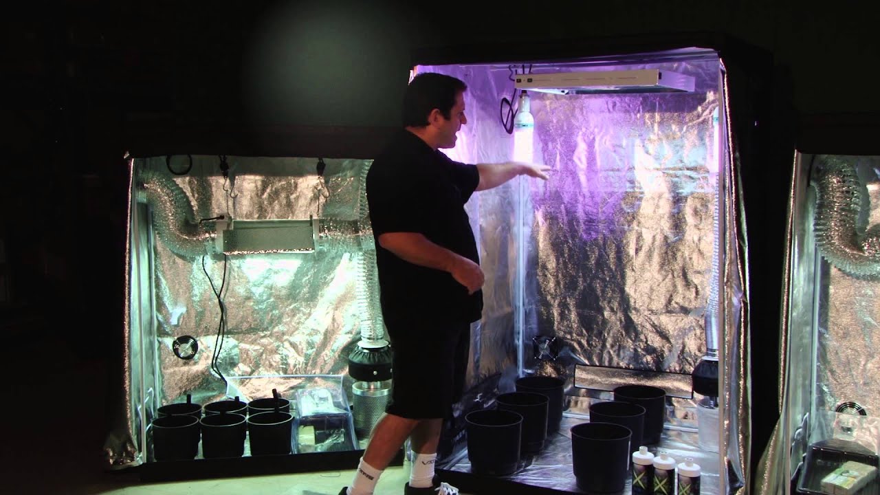 Triple Threat Grow Tents | Advanced Hydroponic Growing