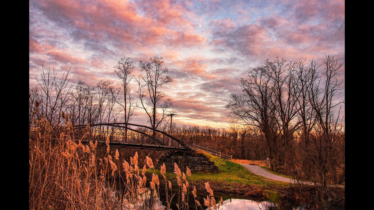 On My Walk...Vischer Ferry Preserve-A Quiet Refuge.   03012026