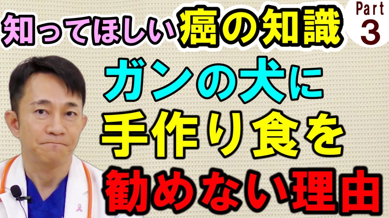 【犬猫の癌】日本一のガンの獣医さんの解説を聞いてほしい【Part.3】【予防方法と手作り食】