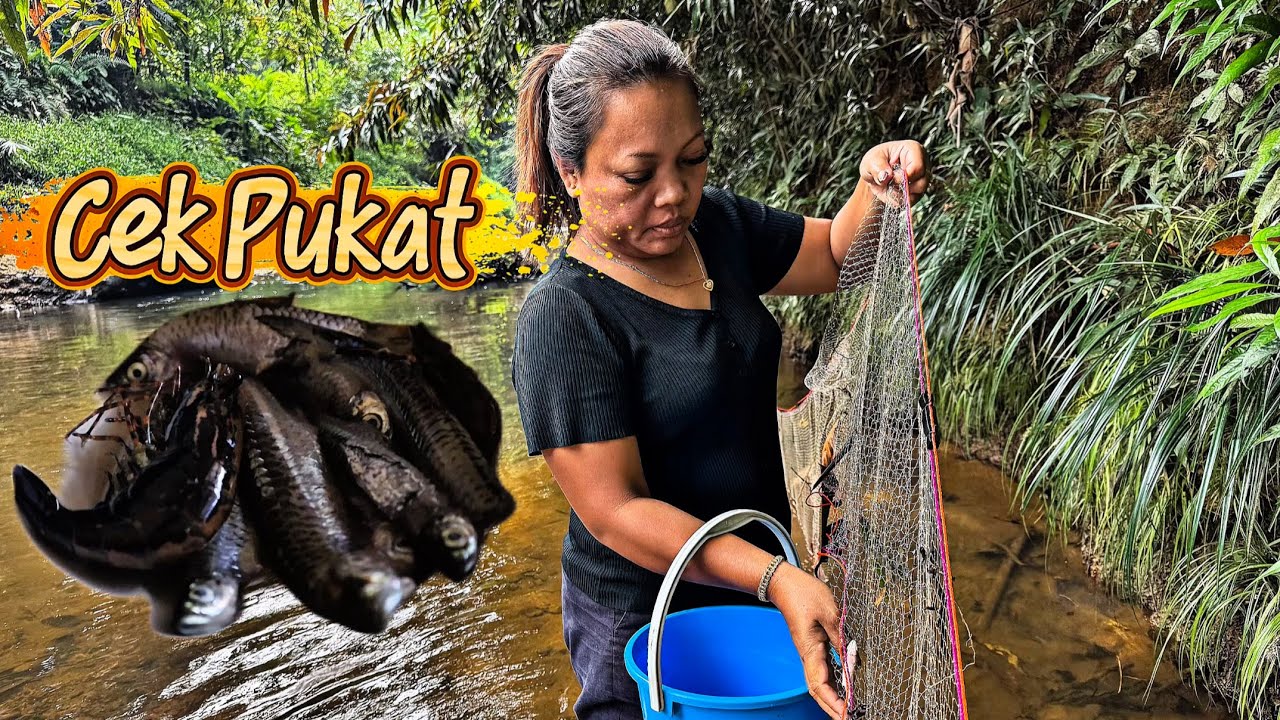 CHEK BUBU DAN PUKAT // TRAGEDI MALAM TADI JUMPA HANTU DAUN // HASIL TAK BANYAK TAPI CUKUP // 