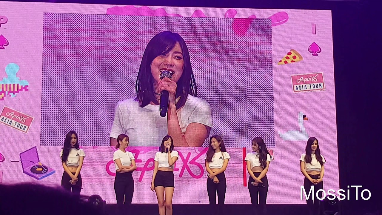 [FANCAM] 171104 Ending Talk @ Apink (에이핑크) Asia Tour 'Pink Up' in Bangkok