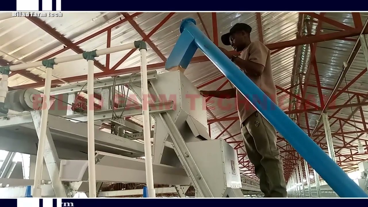 Installation of manual cage with feeding trolley