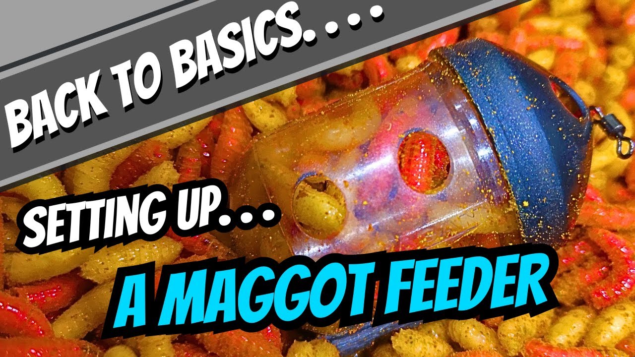 Match Fishing Basics - Setting Up A Maggot Feeder - How To Set Up A Maggot Feeder