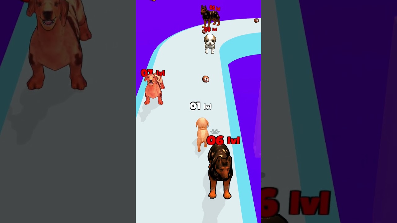 DOGGY RUN 🐕🐶 WALKTHROUGH 🐕🐶 Dog Run Evolution Gameplay #stofie #games #fun #funnygamplay