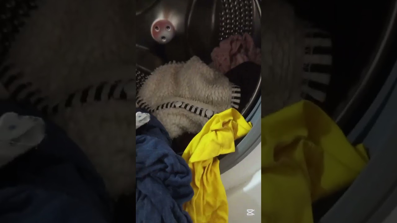 Cleaning 1