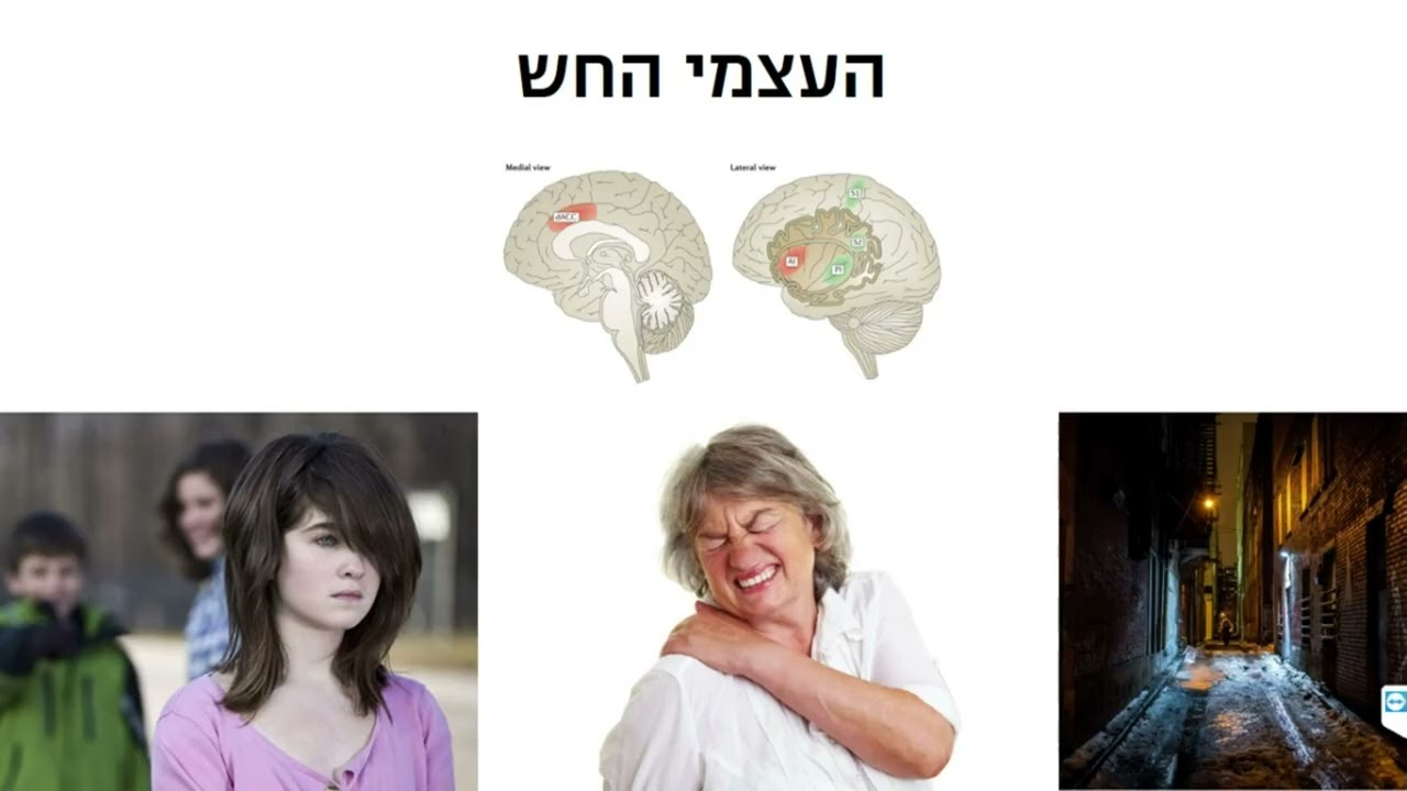 19. העצמי החש: רגשות ומדיטציה
