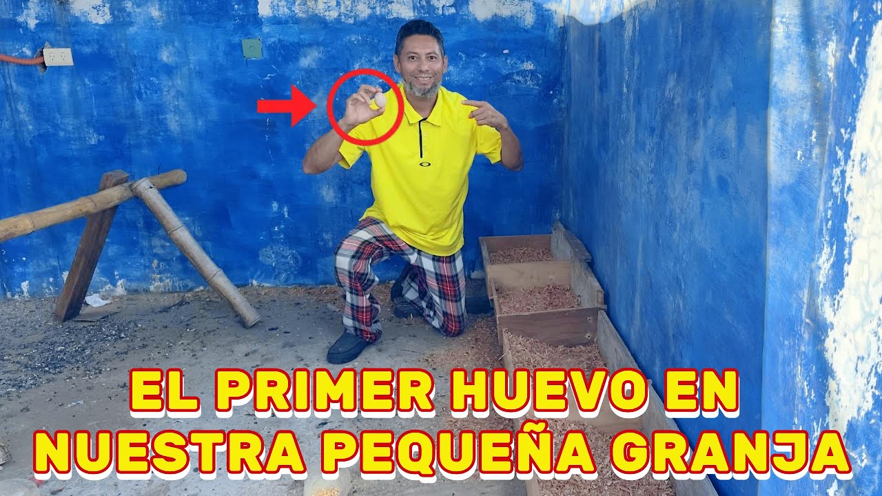 EL PRIMER HUEVO DE NUESTRA PEQUEÑA GRANJA