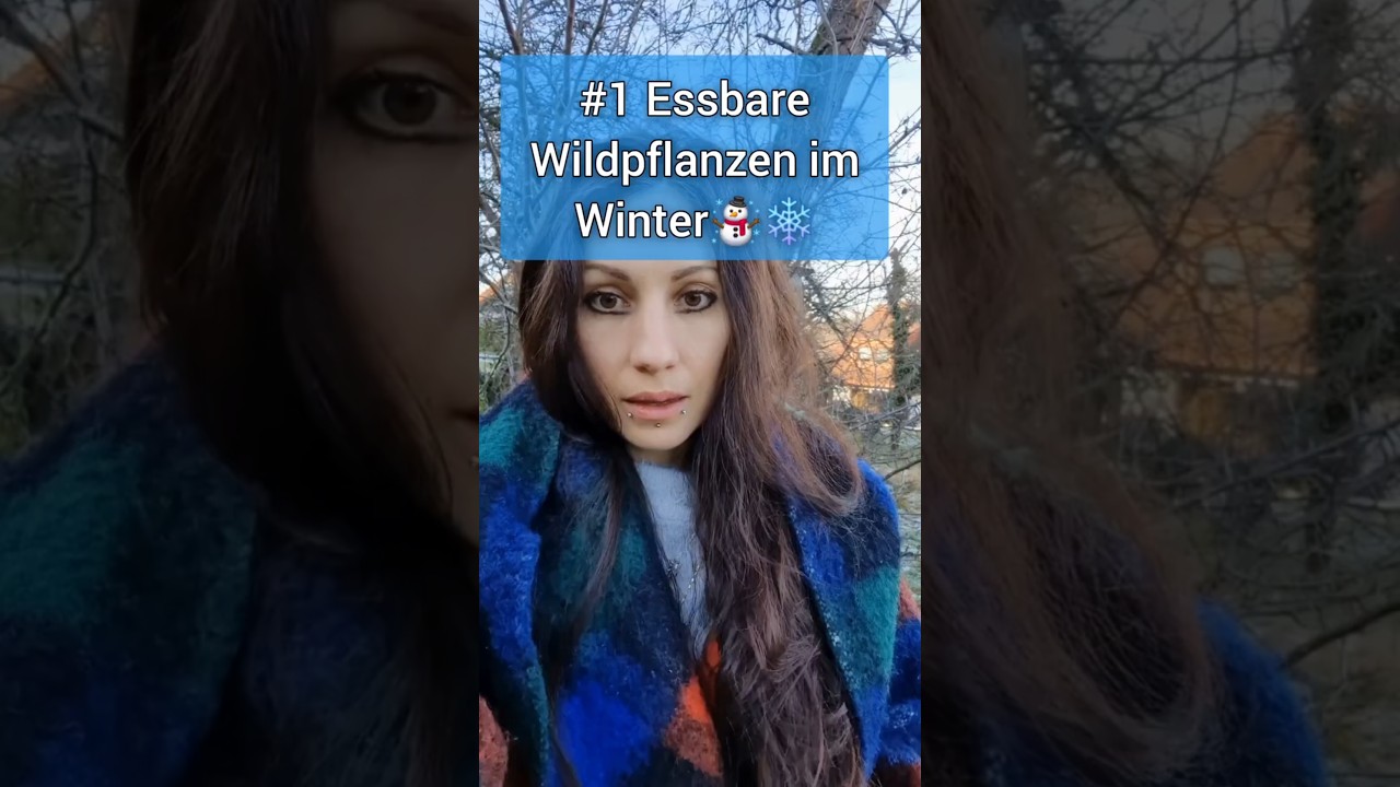 #1: Essbare Wildpflanzen im Winter☃️❄️🌿 