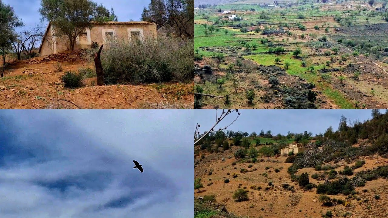 جولة في طبيعية استكشاف جبال الريف منضر رائع شاهدوا معنا لفيديو.⛰️☘️
