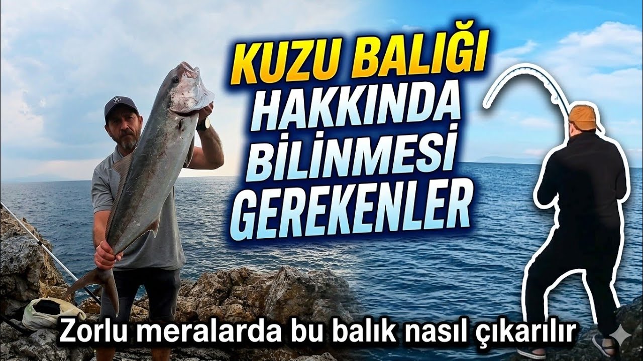 SHORE JİGGİNG | Kuzu Balığı Hakkında Bilinmesi Gerekenler | Yapılan Hatalar Neler | About Amberjack