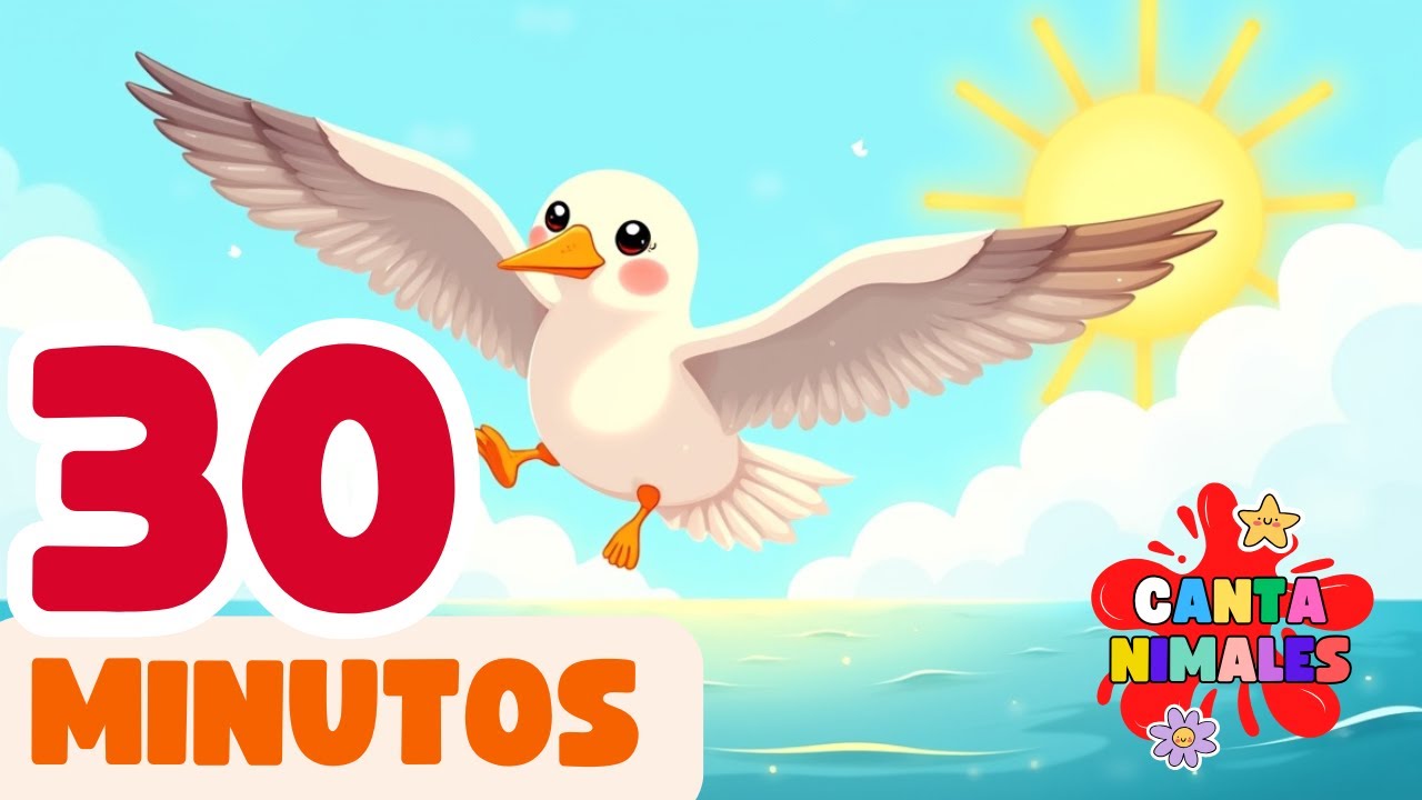 Canciones infantiles divertidas | La historia de Gaby la gaviota 🌞
