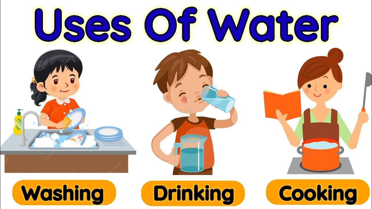 Uses of water | Importance of water | Water and it's uses | Uses of water for kids | Use of water
