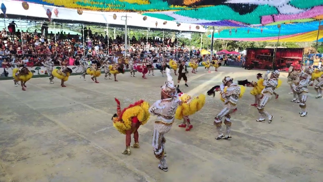 FUZUÊ JUNINO 2023 ( entre às 10 CAMPEÃS do XXVIII Festival Folclórico de Tracuateua)