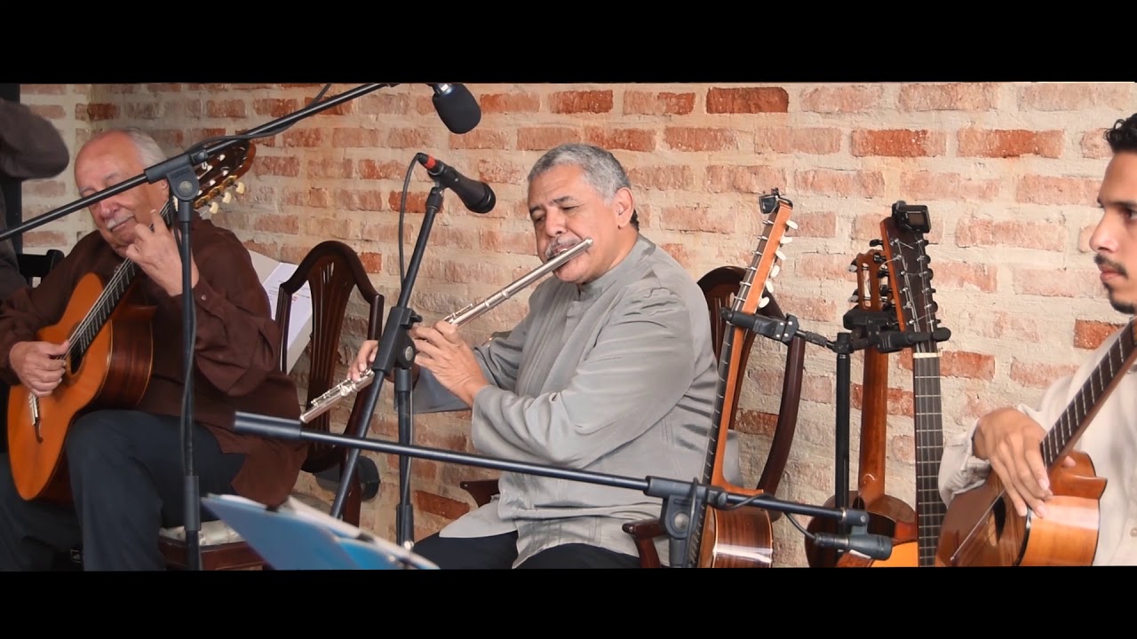 El Porfiao (Alberto Muñoz) - House Concert - El Cuarteto [Venezuela]