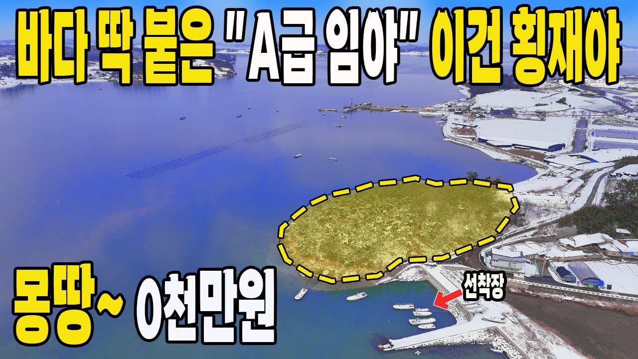 바다 코앞~ 누구나 구입 가능~ 로또 토지가 나왔습니다~ 바닷가 AAA급 임야~ 뭘 해도 될 땅이~ 단돈 1,600평. 주택 부지 매매~