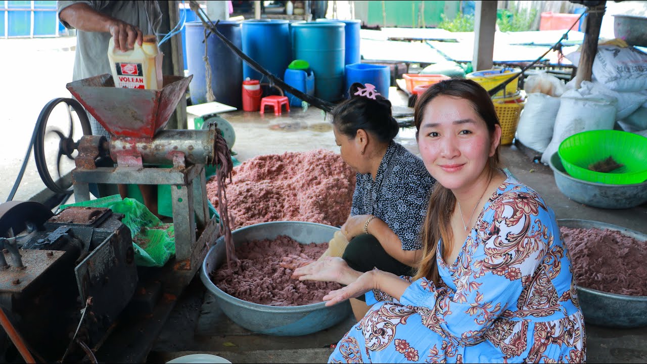 Fermented tiny shrimp processing and the origin | Buying fermented shrimp for my dinner