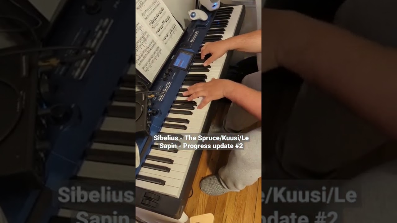 Sibelius - The Spruce/Kuusi/Le Sapin - adult beginner progress update #2