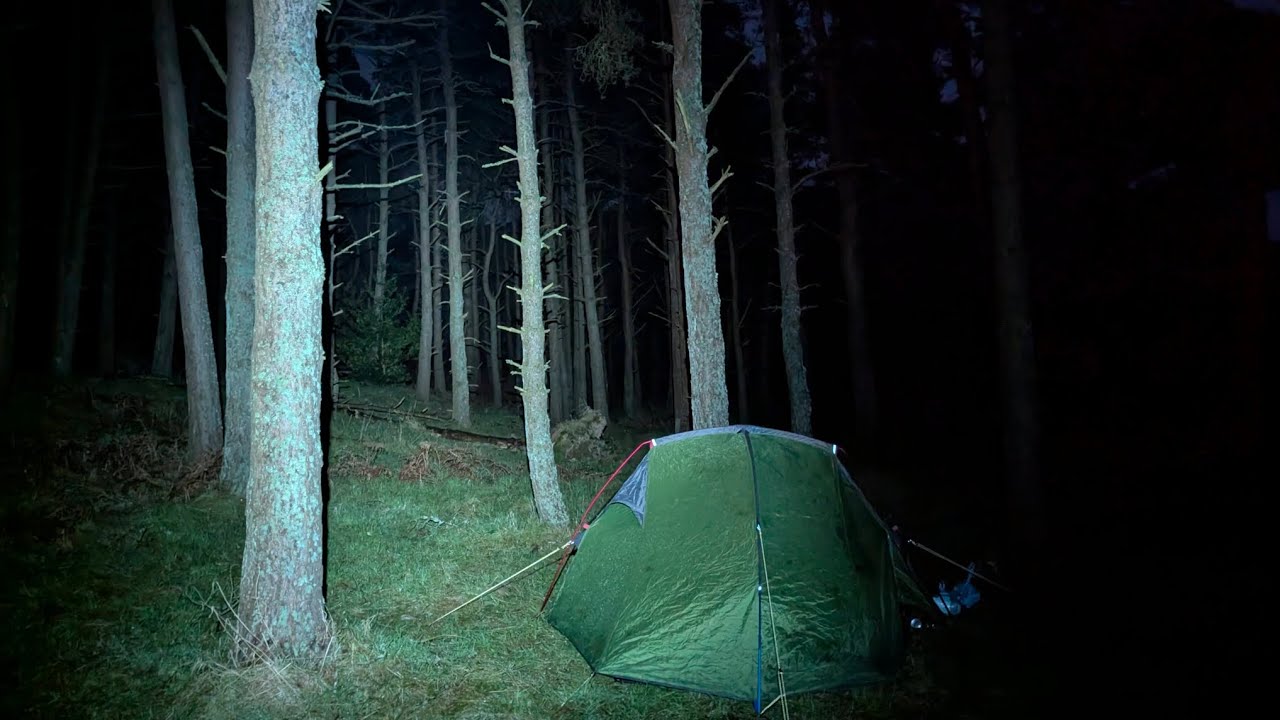 Small Woodland Wild Camp in a Northumberland Valley 8th Feb 2025