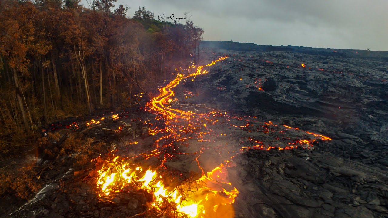 Lava Tree Molds