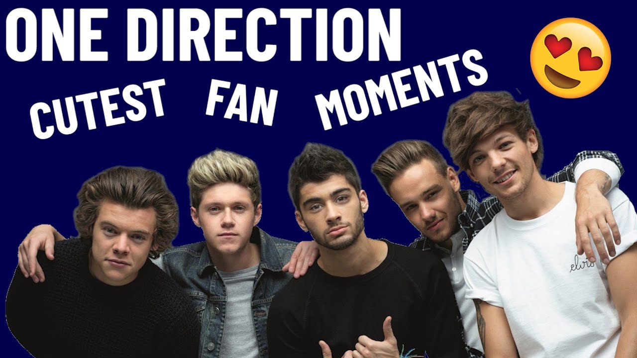 10 Cutest One Direction Fan Moments