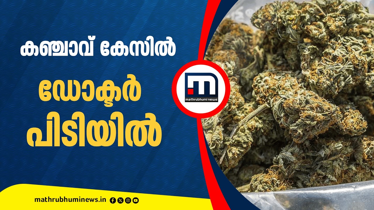 കഞ്ചാവ് കേസിൽ ഡോക്ടർ പിടിയിൽ! അറസ്റ്റിലായത് പത്തനംതിട്ട സ്വദേശി ദേവീകൃഷ്ണൻ