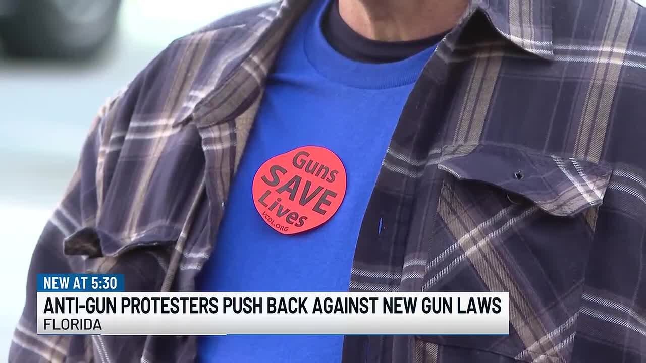 Gun advocates and protesters debate Florida legislation that would lower gun purchase age to 18