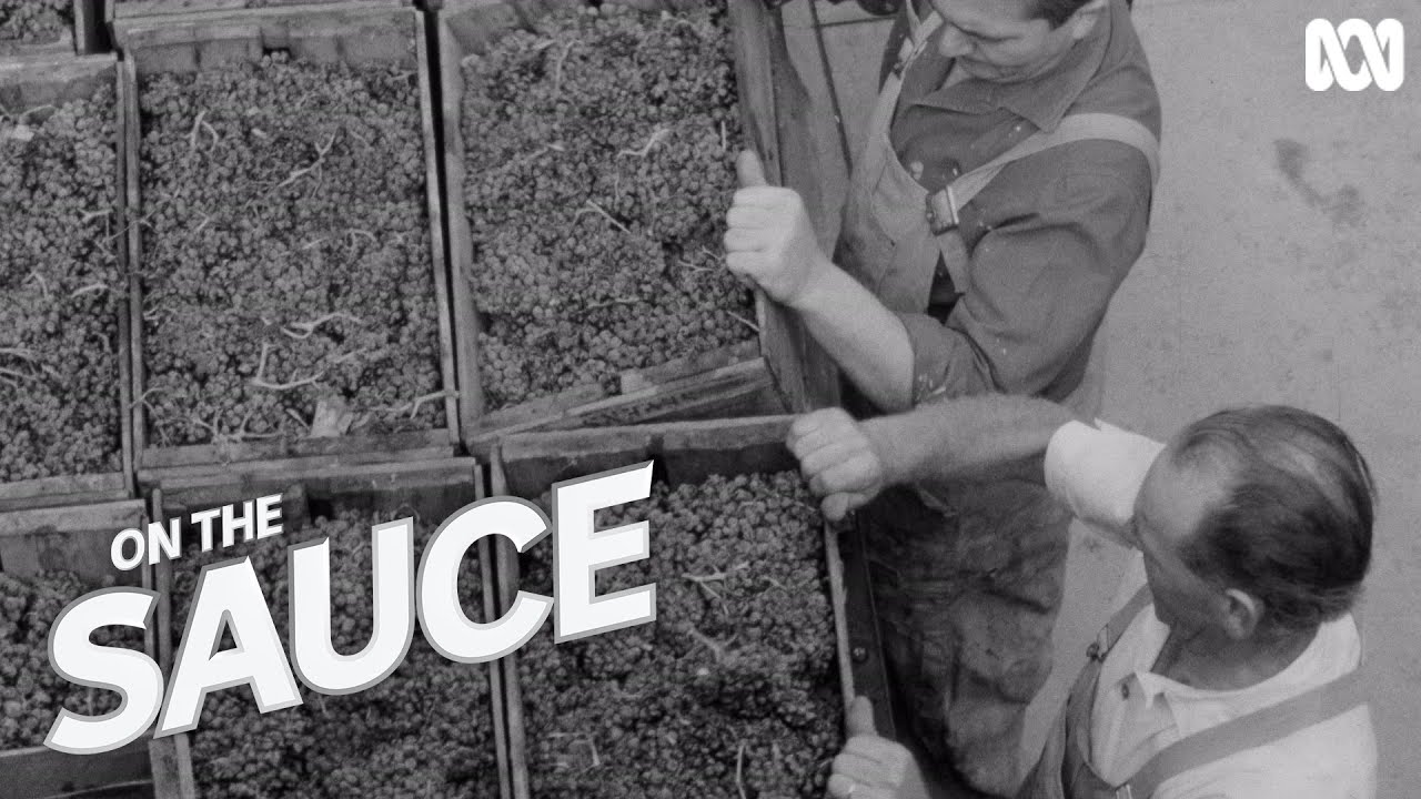 Weekend Magazine: The Winemakers (1965) | RetroFocus