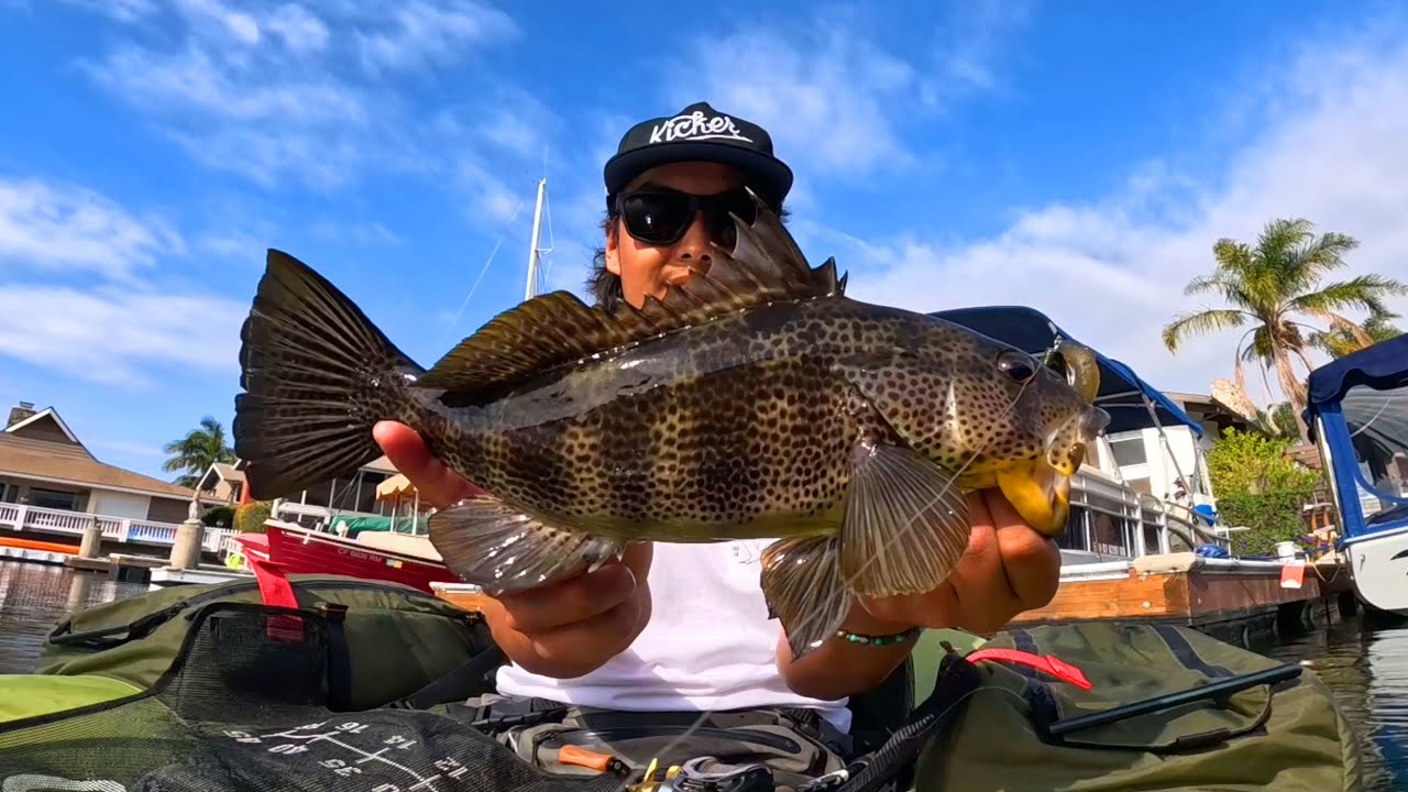 FLOAT TUBE: Very stealth way to fish for Spotted Bay Bass