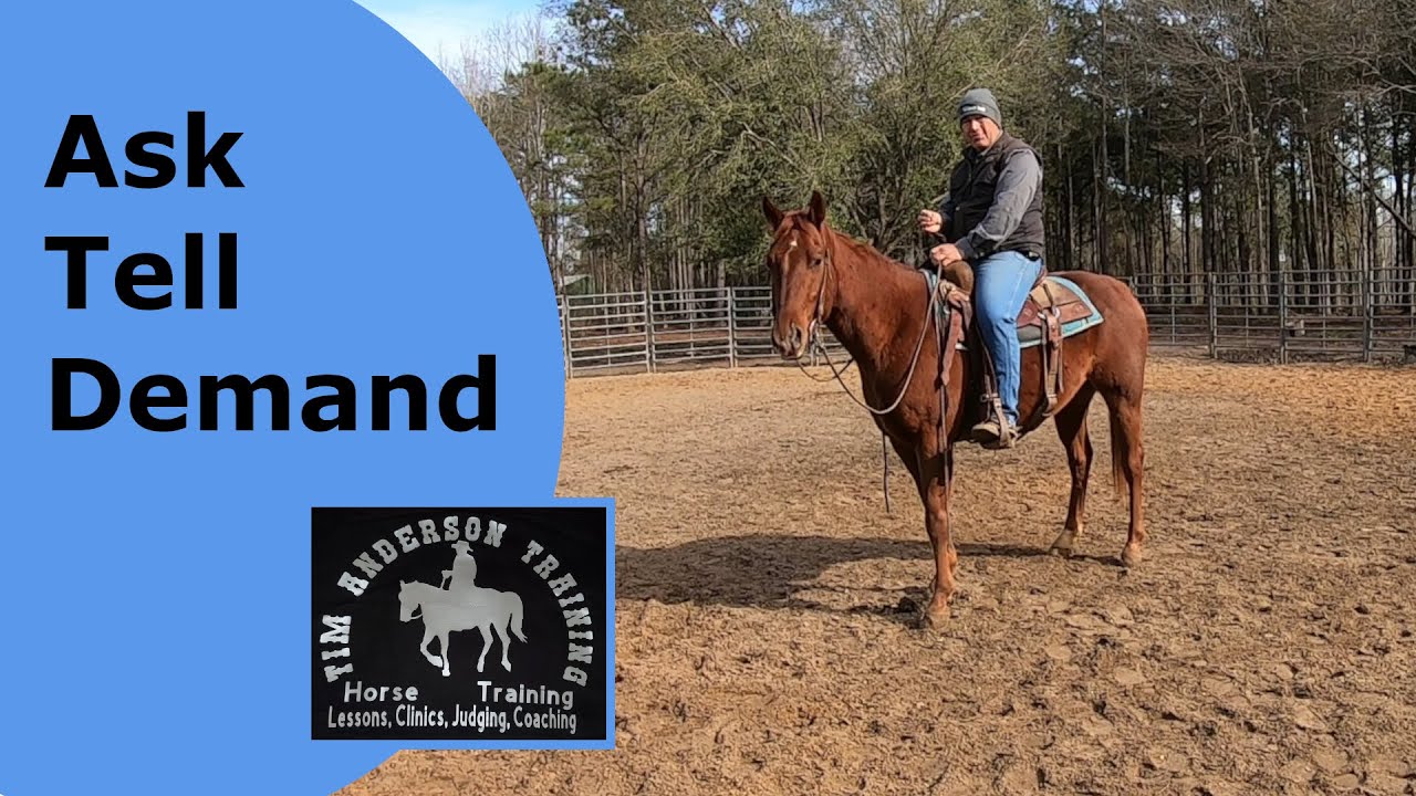 Don't be a nag. Give clear direction to your horse.