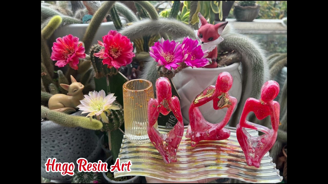 Rainyday #hncactusg #flowers #cactusflower