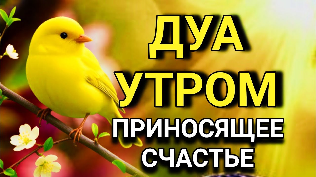 ☝️💖 ТЫ ПОЛУЧИШЬ ТО, О ЧЕМ ПРОСИШЬ, ИНШААЛЛАХ 🔑✨ ДУА УТРОМ 🤲💯