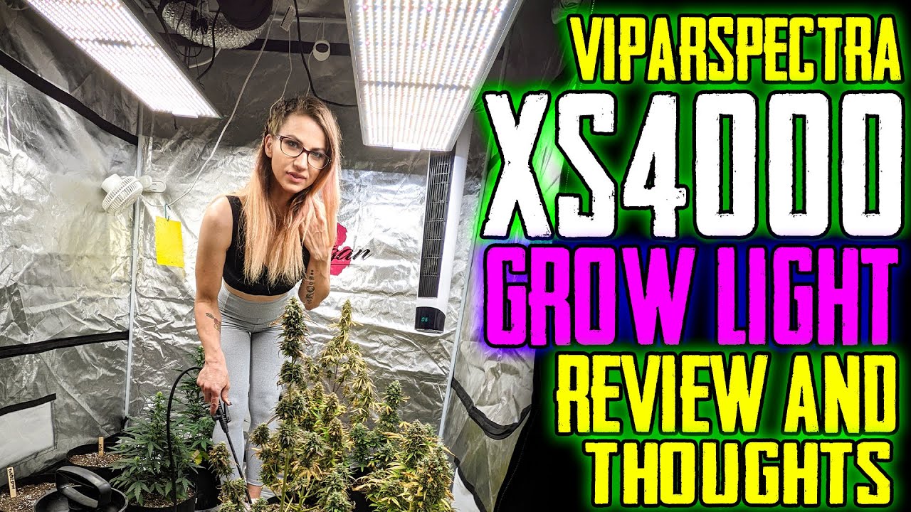 Viparspectra XS4000! Review & Thoughts. Best Value 4x4 5x5 Grow Light?