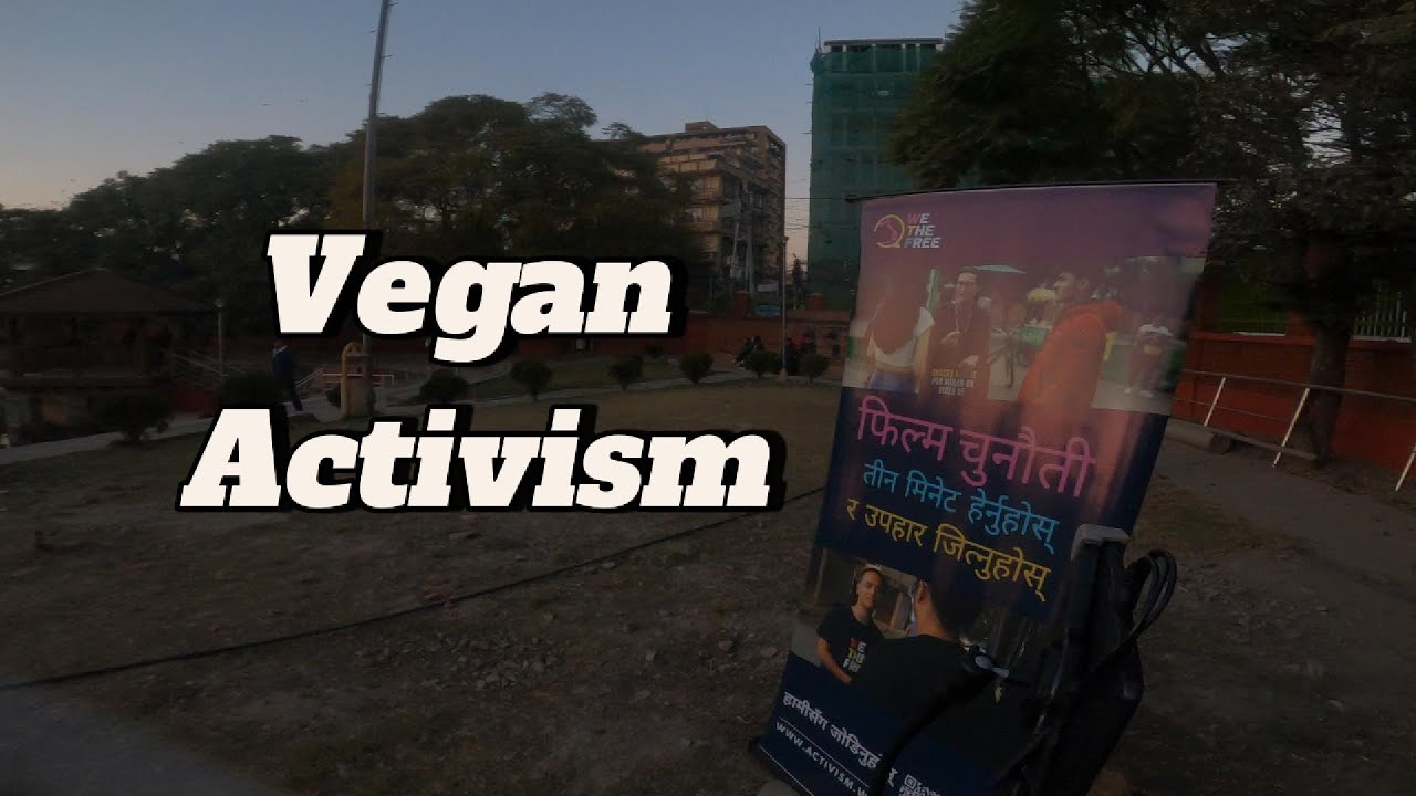 3 Minute Movie Challenge | We The Free Kathmandu |#vegan #vegannepal