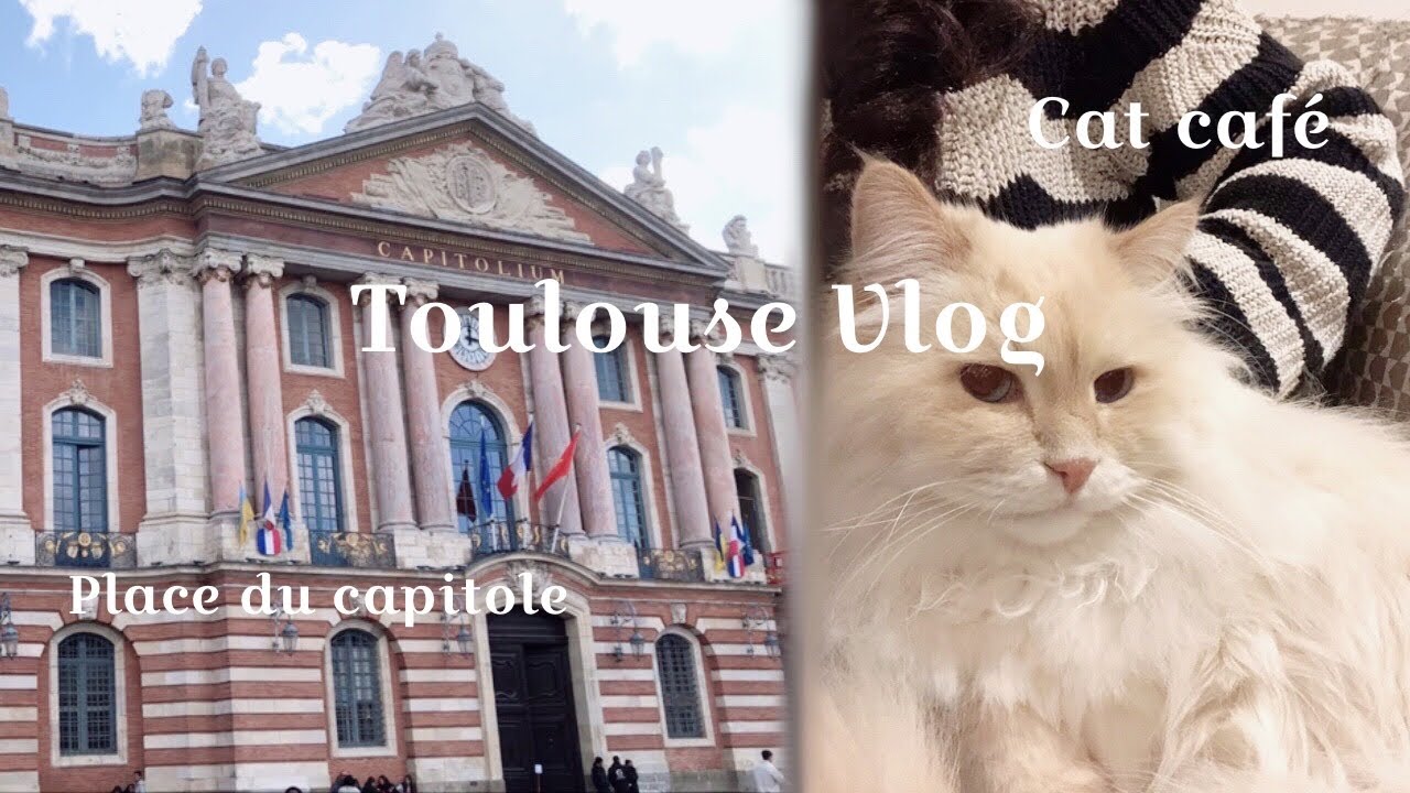 Toulouse Vlog | Cat caf&eacute; in France | Chapristea | คาเฟ่แมวที่ฝรั่งเศส | France travel guide vlog