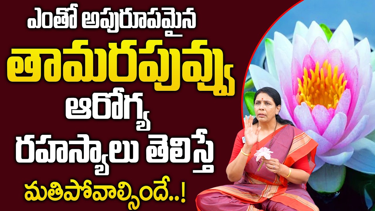 తామర పువ్వుతో ఆరోగ్య ప్రయోజనాలు తెలిస్తే ఆశ్చర్యపోతారు| Lotus Flower Benefits |Aruna Yoga |@iDream