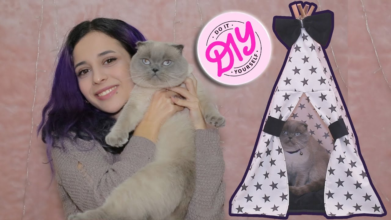 Создание очень стильной кошачьей палатки для кошек! | DIY  - Идеальный помощник Appa!