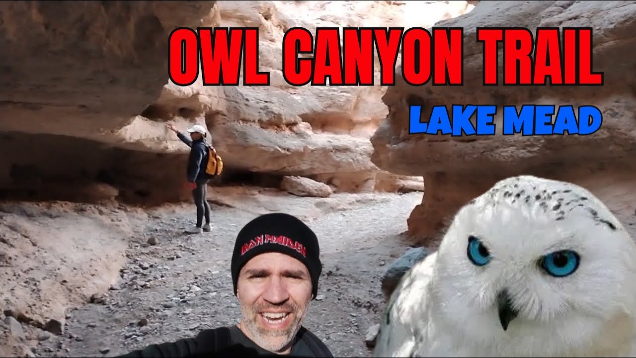 Owl Canyon Trail Hike — Hidden Gems by Lake Mead!🌄