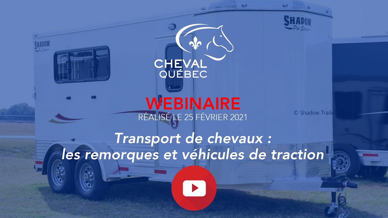 Transport de chevaux : tout savoir sur les remorques et véhicules de traction