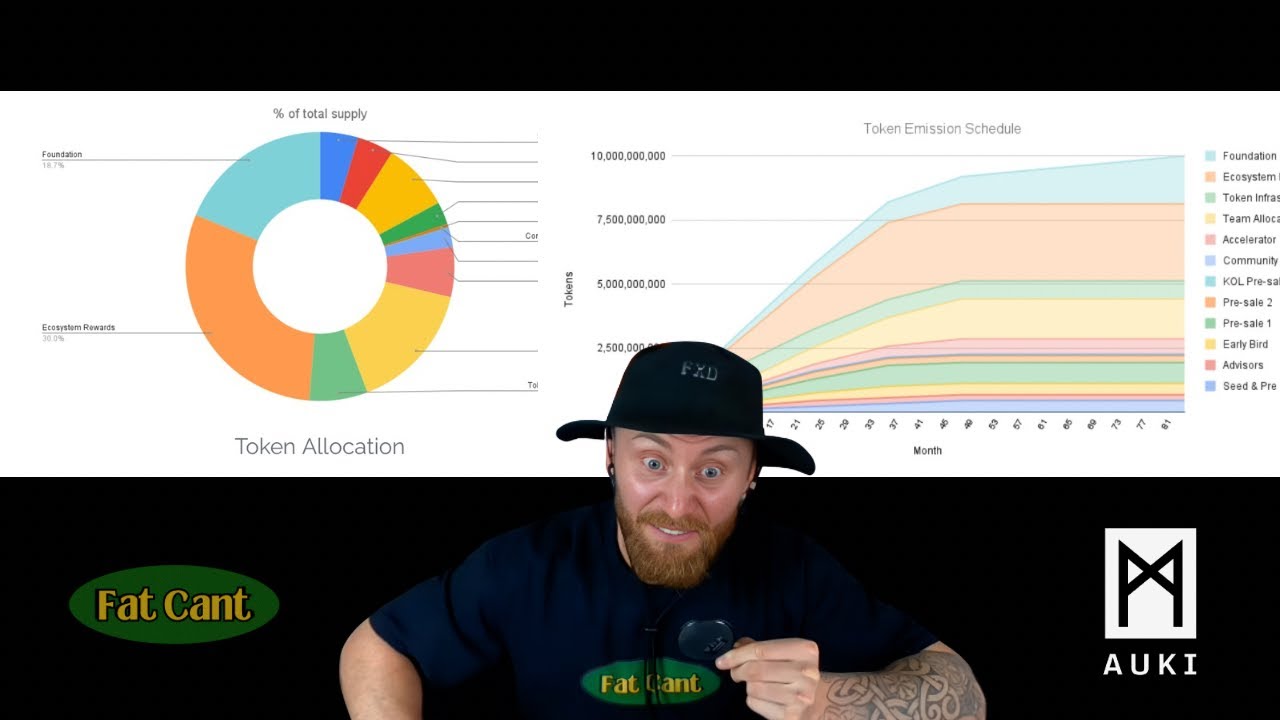 AUKI TOKENOMICS: Why I&rsquo;m front running the burns 🔥🔥
