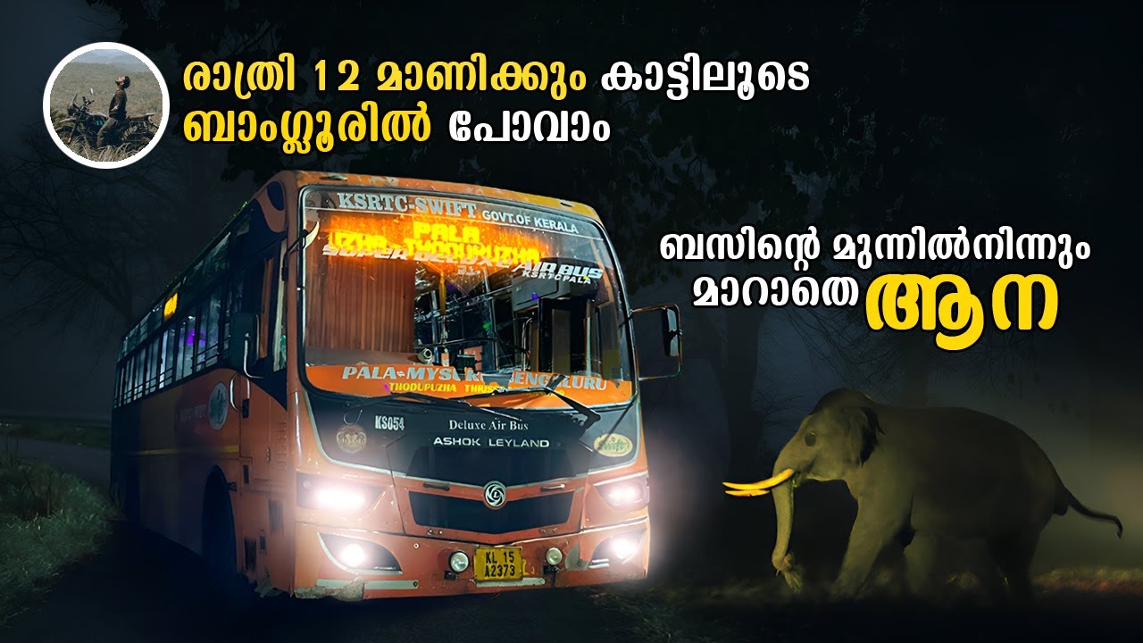 Pala to Bangalore Ksrtc Bus | ബസിന്റെ മുന്നിൽനിന്നും മാറാതെ ആന | Bandipur Mudumalai Forest | free20