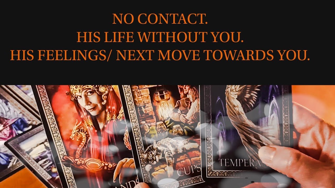 PICK A CARD: NO CONTACT. HIS LIFE WITHOUT YOU. HIS FEELINGS/ NEXT MOVE. TIMELESS TAROT READING.