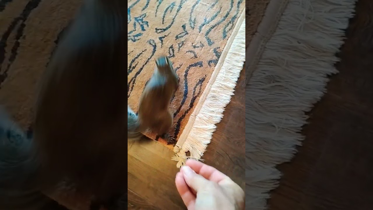 Тяжелые тучи, но без дождя! 