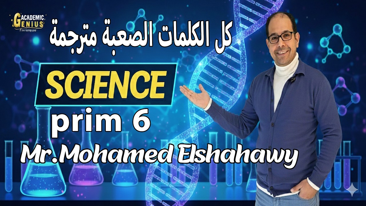 prim 6 words كل الكلمات الصعبة الصف السادس