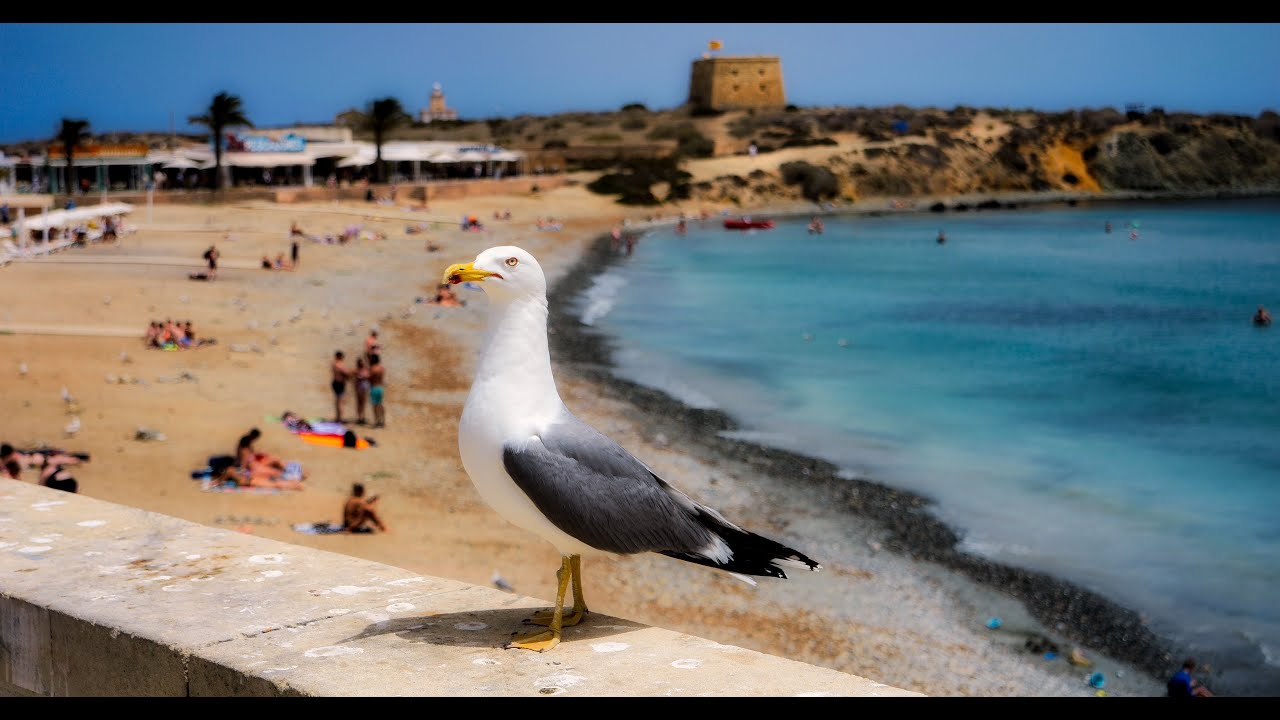 Tabarca otra Mirada