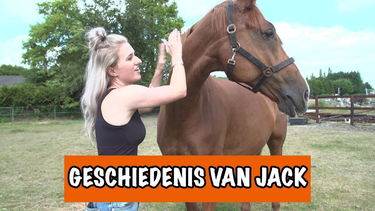 HET LEVEN VAN JACK  | PaardenpraatTV